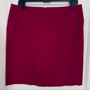 Express Skirt